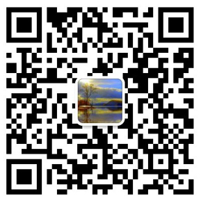 長(cháng)螺旋打樁機